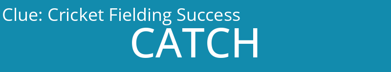 Cricket Fielding Success