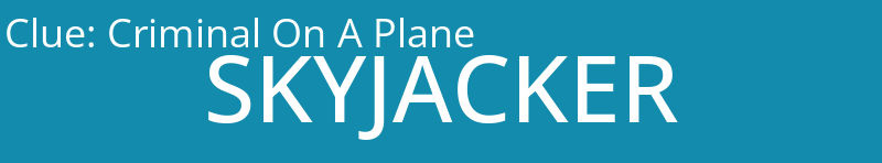 Criminal On A Plane