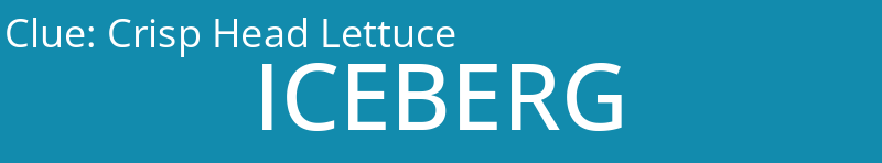 Crisp Head Lettuce