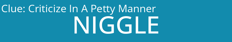 Criticize In A Petty Manner