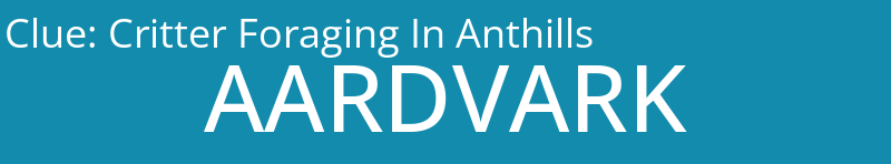 Critter Foraging In Anthills