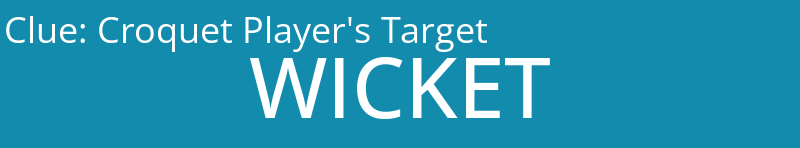 Croquet Player's Target