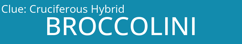Cruciferous Hybrid
