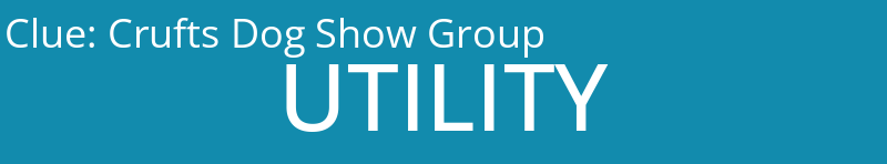 Crufts Dog Show Group