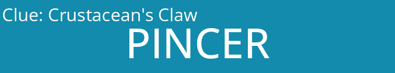 Crustacean's Claw