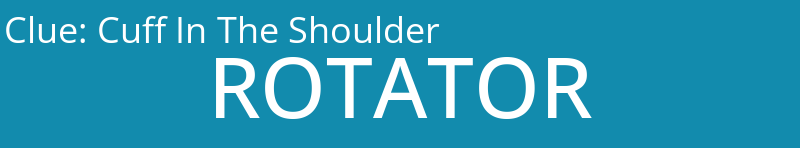 Cuff In The Shoulder
