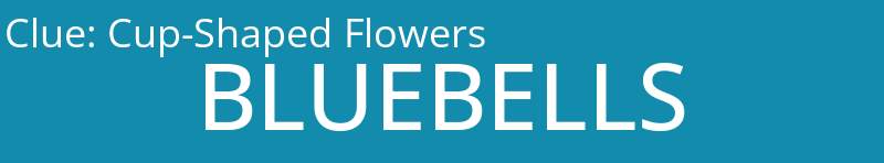 Cup-Shaped Flowers