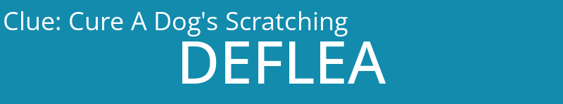 Cure A Dog's Scratching