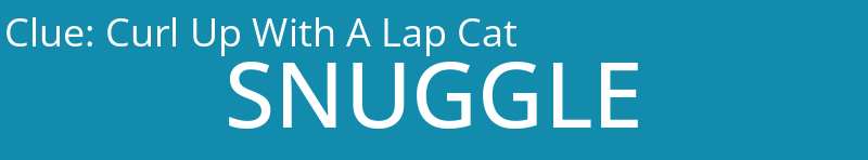 Curl Up With A Lap Cat