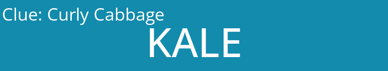 Curly Cabbage