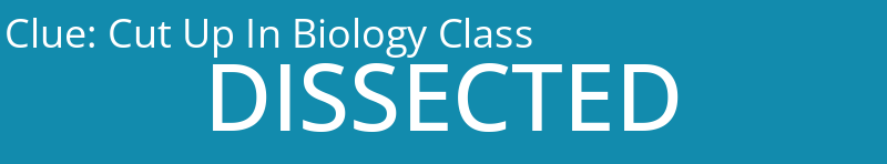 Cut Up In Biology Class