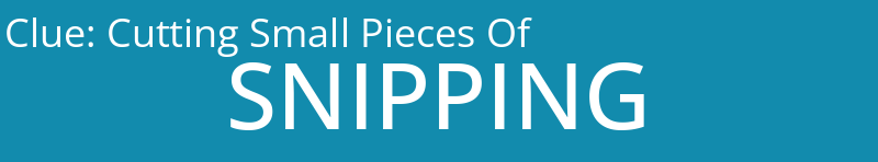 Cutting Small Pieces Of