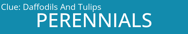 Daffodils And Tulips