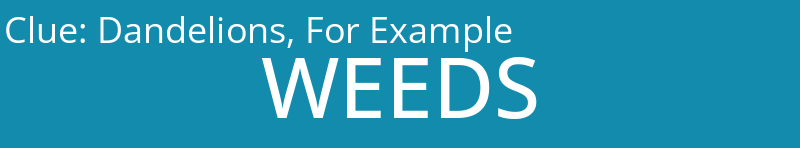 Dandelions, For Example
