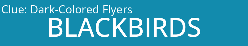 Dark-Colored Flyers