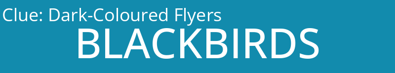 Dark-Coloured Flyers