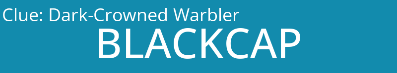 Dark-Crowned Warbler