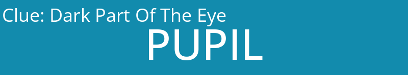 Dark Part Of The Eye