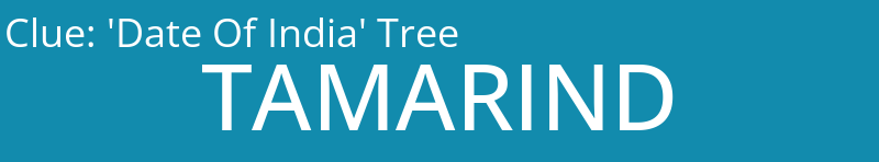 'Date Of India' Tree