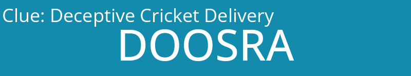 Deceptive Cricket Delivery