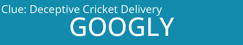 Deceptive Cricket Delivery