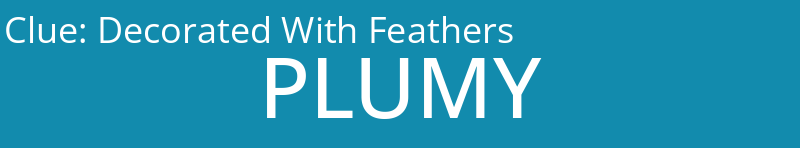 Decorated With Feathers