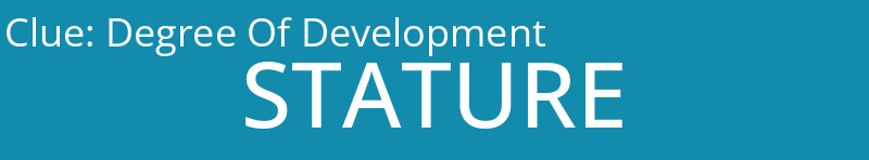 Degree Of Development