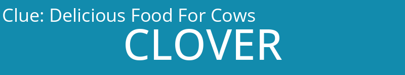 Delicious Food For Cows