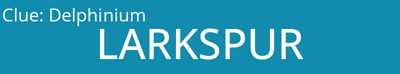 Delphinium