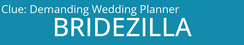 Demanding Wedding Planner