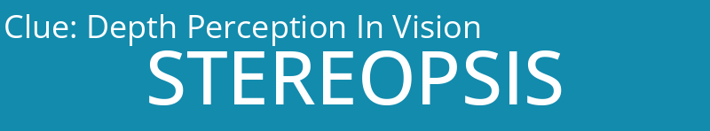 Depth Perception In Vision