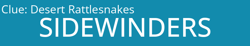 Desert Rattlesnakes
