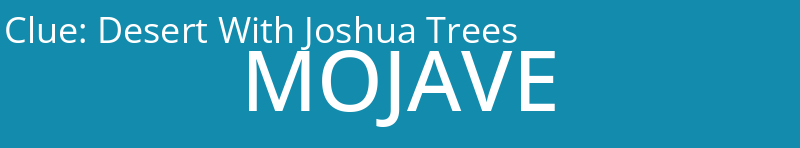 Desert With Joshua Trees