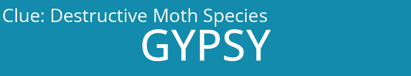 Destructive Moth Species