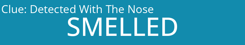 Detected With The Nose