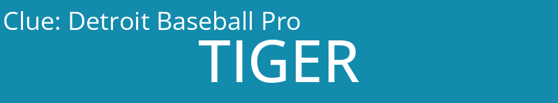 Detroit Baseball Pro