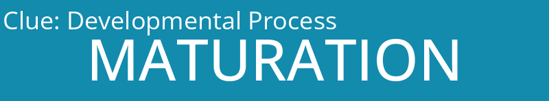 Developmental Process