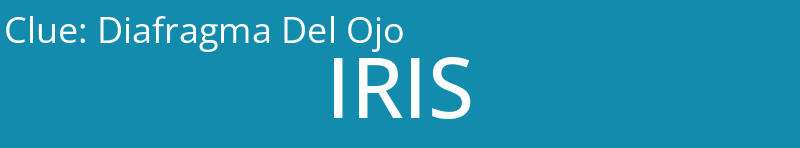 Diafragma Del Ojo