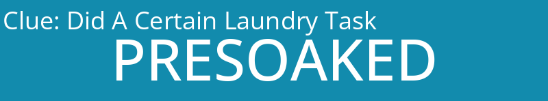Did A Certain Laundry Task