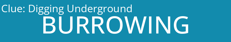 Digging Underground