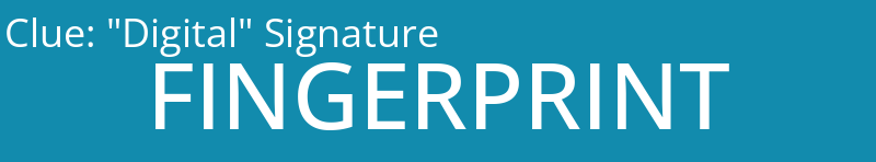 "Digital" Signature