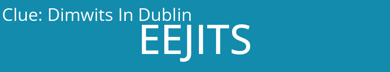 Dimwits In Dublin