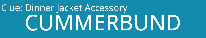 Dinner Jacket Accessory