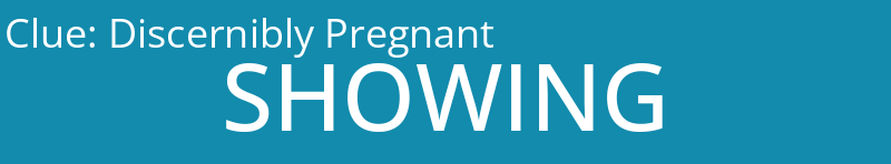 Discernibly Pregnant