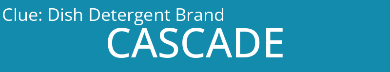 Dish Detergent Brand