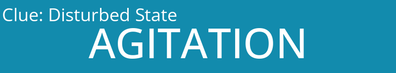 Disturbed State