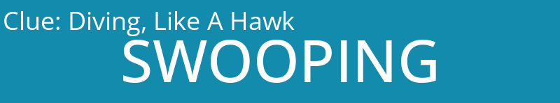Diving, Like A Hawk