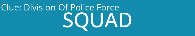 Division Of Police Force