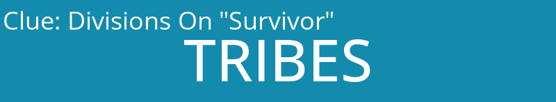 Divisions On "Survivor"