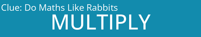 Do Maths Like Rabbits